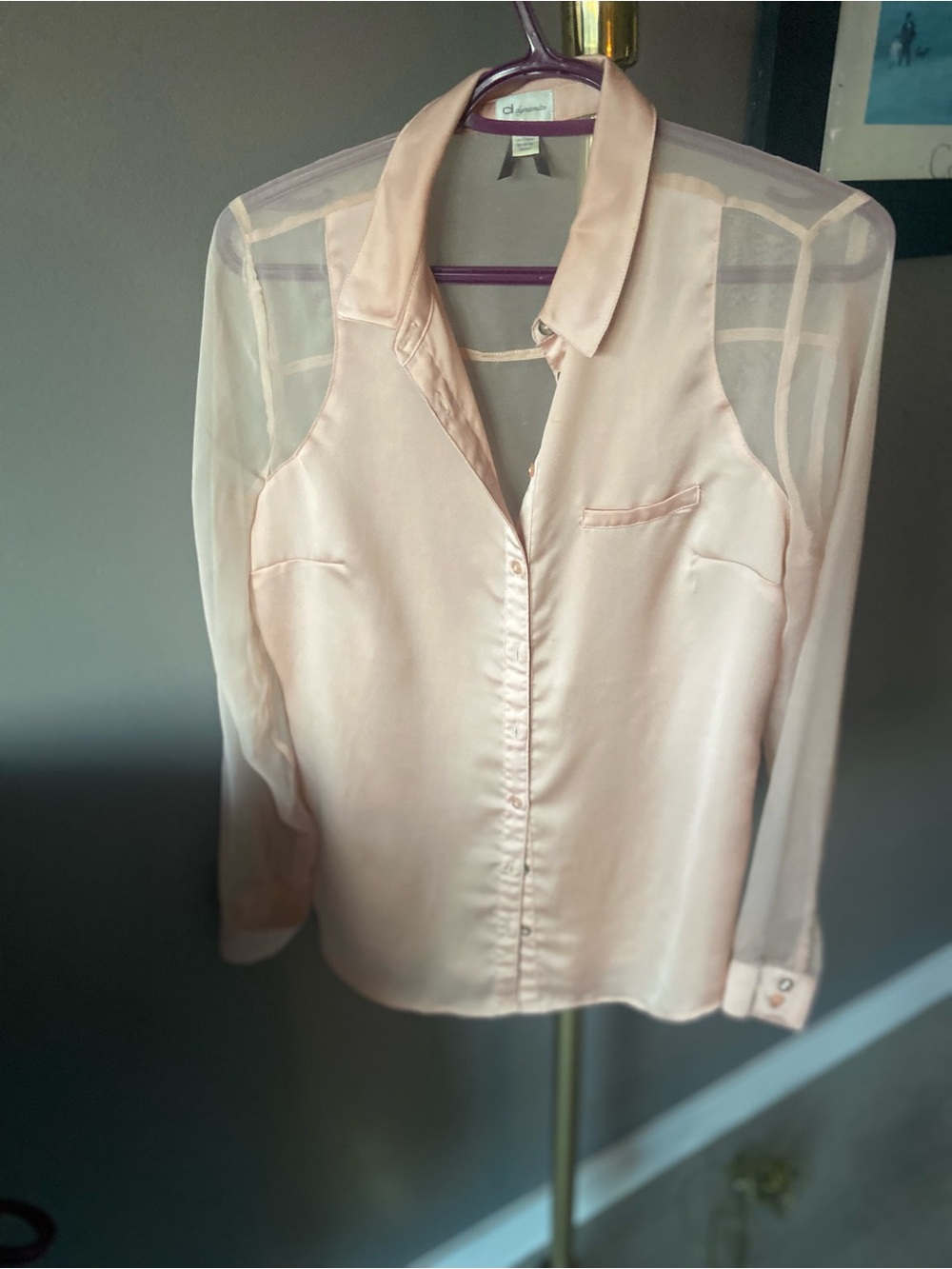 Dynamite Blush Pink Satin Blouse with Sheer Sleeves